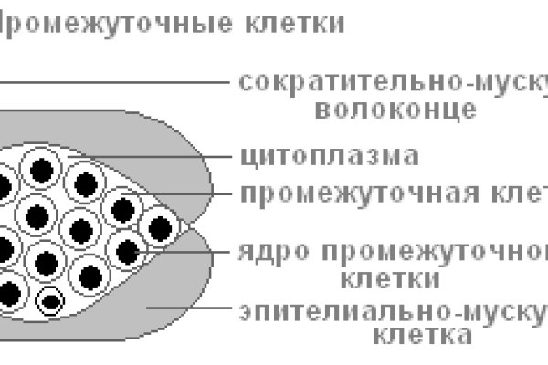 Кракен ссылка официальная на тор