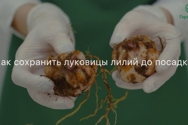 Kraken что это такое