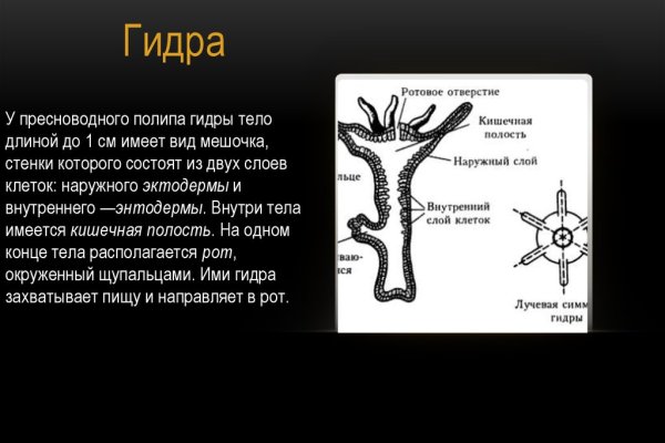 Ссылка в магазин на кракен