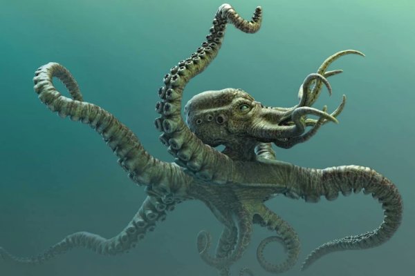 Сайт kraken в tor
