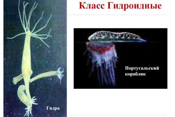 Кракен в обход