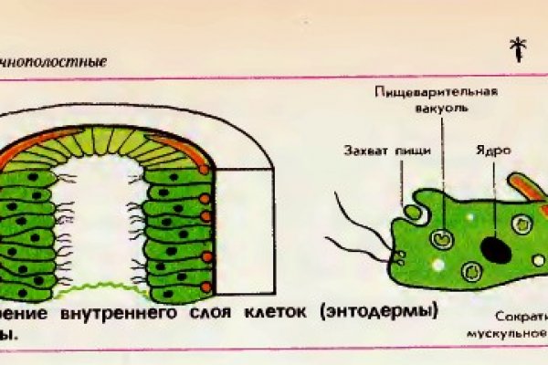 Ссылки для tor