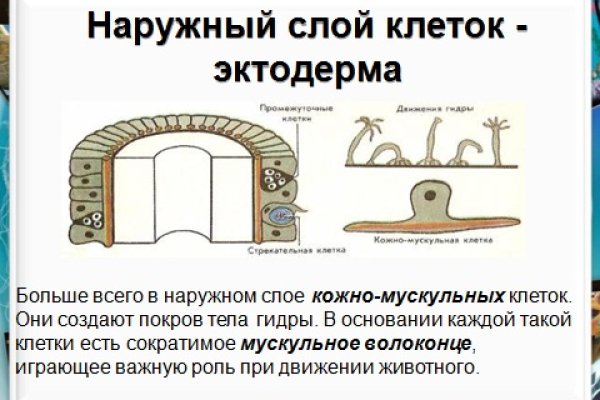 Актуальные ссылки на кракен тор