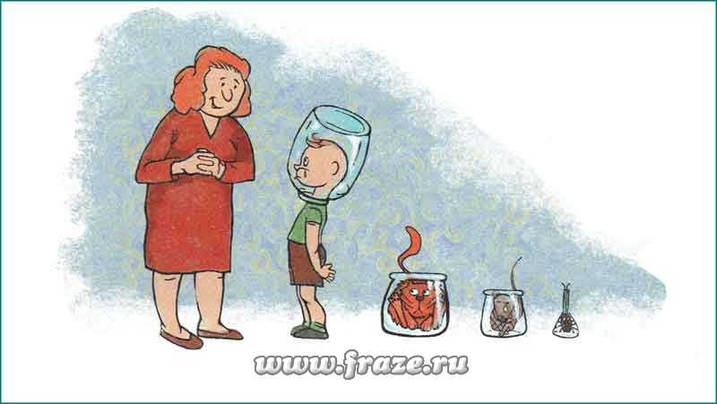 Кракен сайт ссылки актуальные